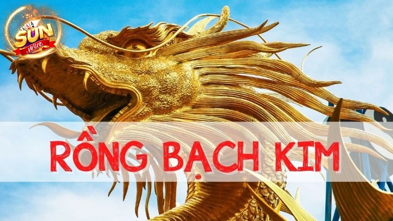 Tìm hiểu sơ lược về soi cầu rồng bạch kim 666 là gì?
